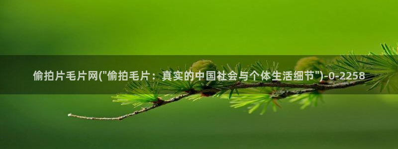 中国厕所偷拍视频