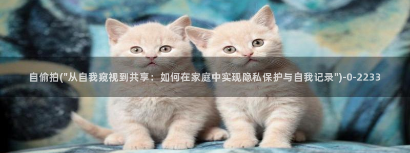 中国偷拍厕所视频