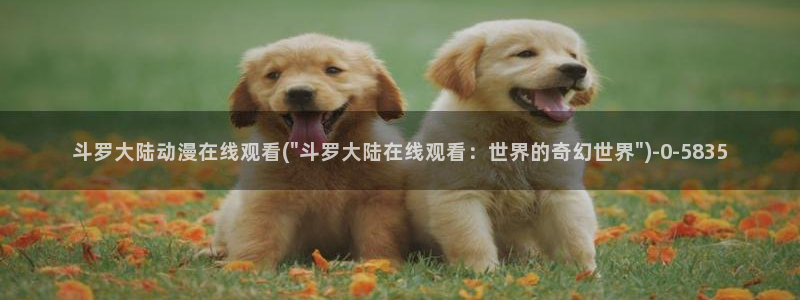 阅文动漫：斗罗大陆动漫在线观看(\