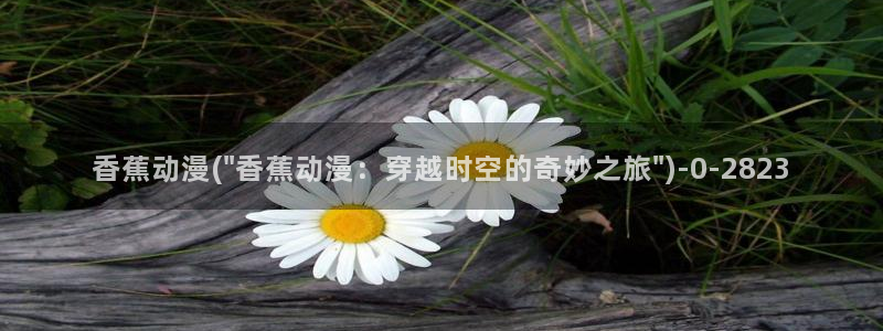 成人动漫网站