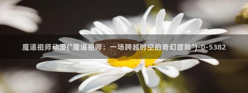 看动漫